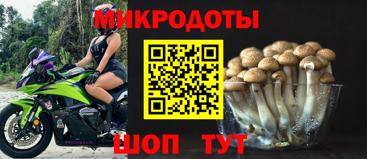 Галлюциногенные грибы Psilocybe Тулун
